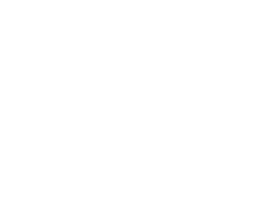 Institute of Directors Institute of Directors