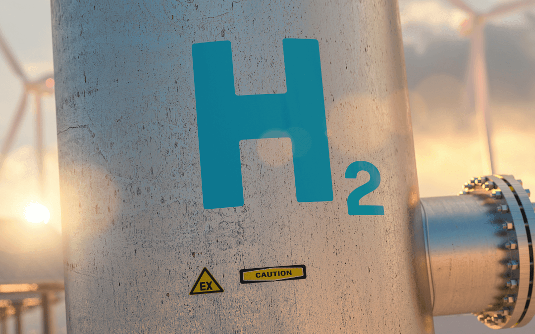 The Hydrogen Horizon: Navigating the Path to Economic Viability